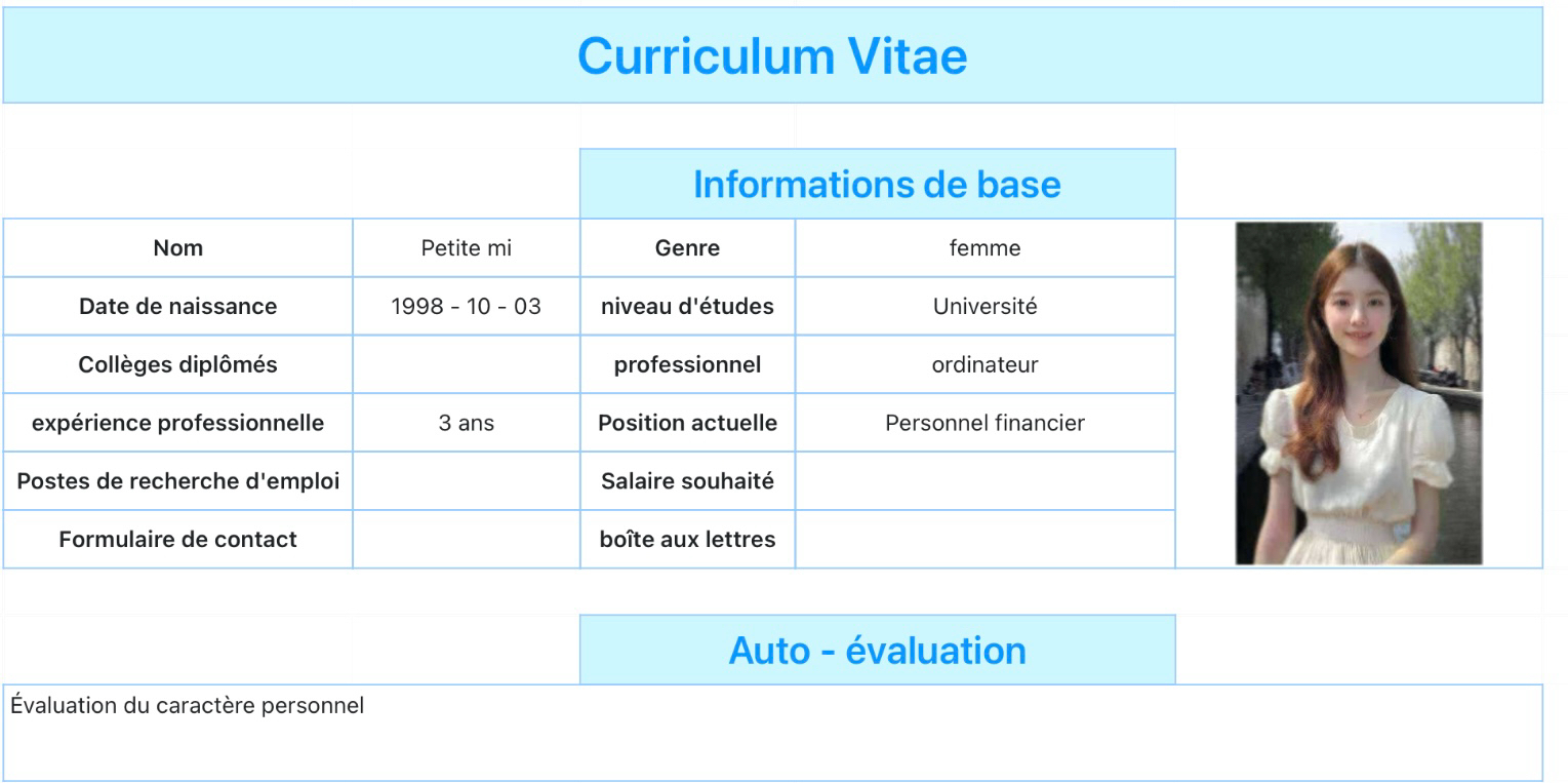 CV personnel de recherche d'emploi 111